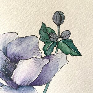 Aquarell Gemälde Blume Herbstanemone ORIGINAL Unikat Bild 5