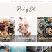 see more listings in the Wordpress Themes section