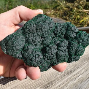 4.88&quot; BotryoidalFibrous MALACHITE Mindingi Mine, Congo Q427