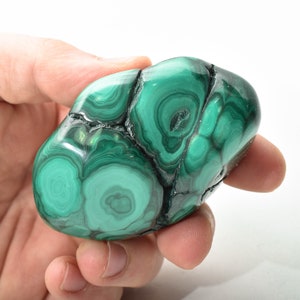 2.87&quot; POLISHED BULLSEYE MALACHITE - Congo A691