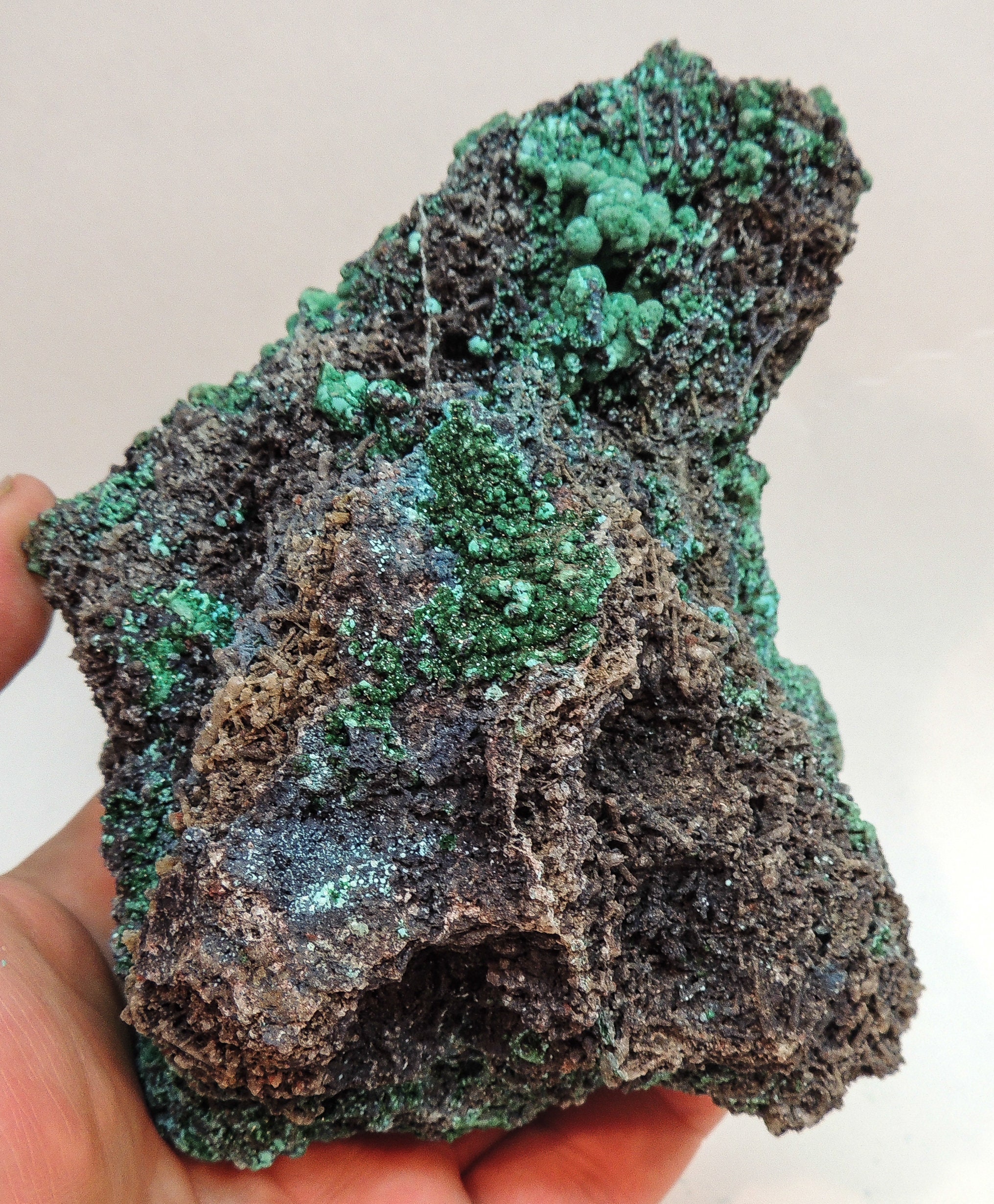 5.6 インチ クリソコラとマラカイトのユニークな形成 カルクルク鉱山