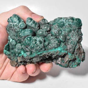 4.25&quot; Shiny BOTRYOIDAL MALACHITE Mindingi Mine, Congo Q756