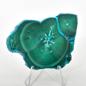 May include: A green and blue malachite stone with a unique, intricate pattern. The stone is on a clear acrylic stand.