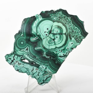 3.97&quot; POLISHED MALACHITE Stalactite Slice / Slab With Stand - Congo T117