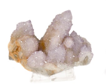 3.74" Druzy AMETHYST Cactus Spirit QUARTZ - South Africa Q326