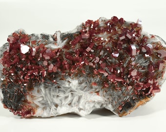 6.10" Outstanding Red Gem VANADINITE Crystals on BARITE Mibladen, Morocco P161