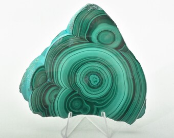 4.37" POLISHED MALACHITE Slice Slab With Stand - Congo A684