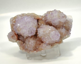3.85" AMETHYST Cactus Spirit QUARTZ - South Africa Q315