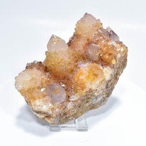 4.52&quot; AMETHYST SUNSHINE Cactus Spirit QUARTZ &quot;Video&quot; - South Africa Q576