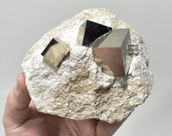 4.17" 3 Golden PYRITE Cubes On Matrix "Video" Navajun, La Rioja, Spain - P642