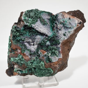 5.19&quot; MALACHITE Sur QUARTZ - Mine Mindingi, Congo Q303