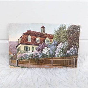 Postal vintage de los años 50 con una escena pastoral colorida, arbustos de lilas y un camino rural. Fotocromía. Bonita tarjeta morada.