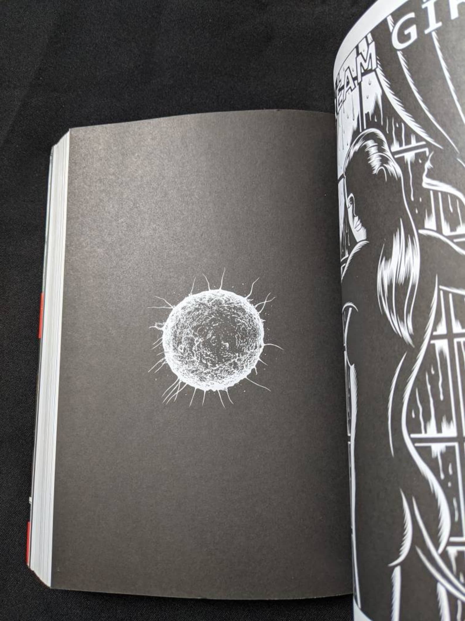 the black hole graphic novel the black hole graphic novel