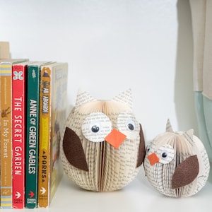 May include: Two book-shaped owls, one brown and one white, with large black eyes and orange beaks, are displayed on a white shelf with a row of colorful children's books behind them.