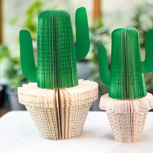 Plant Decor Cactus Plant Mom Gift Book Themed Succulent Gift