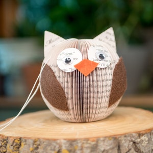 Christmas Woodland Owl Ornament Baby's First Christmas Gift for Book Lover