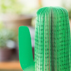 Op de afbeelding: Een groene papieren cactus met een gevouwen boekrug. De cactus is gemaakt van papier en is groen van kleur.