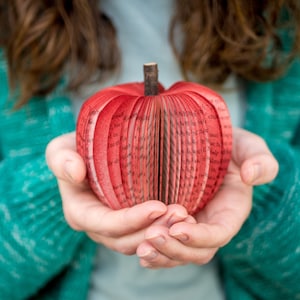 Book Apple-Teacher Christmas Gift-Fall Decor-Book Apple-1st Anniversary Paper-Faux Fruit-Back to School-Year One Anniversary Gift