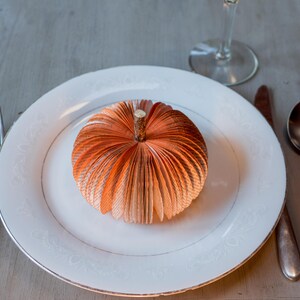 Op de afbeelding: Een wit bord met een decoratieve oranje papieren pompoen erop. Het bord staat op een houten tafel met een zilveren vork en lepel en een glas water.