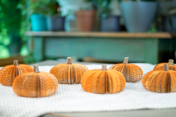 Fall Decor Pumpkin Cuties Thanksgiving Table Decor Halloween Book Gift