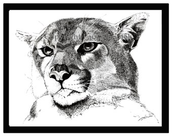 Puede incluir: Un dibujo en blanco y negro a pluma y tinta de la cabeza de un puma. El puma mira hacia la izquierda de la imagen con una expresión seria.