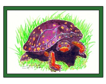 Spotted Turtle Brush and Ink Matted Print, Reptile, Turtle