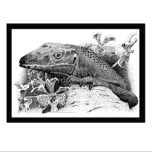 Könnte beinhalten: Schwarz-weiß-Zeichnung mit Feder und Tinte eines Leguan mit einer langen Schnauze und einem strukturierten Körper. Der Leguan sitzt auf einem Ast mit Blumen dahinter.