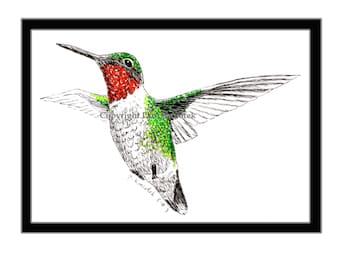 Ruby-throated Hummingbird Pen and Ink Print