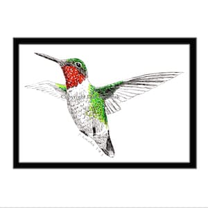 Ruby-throated Hummingbird Pen and Ink Print
