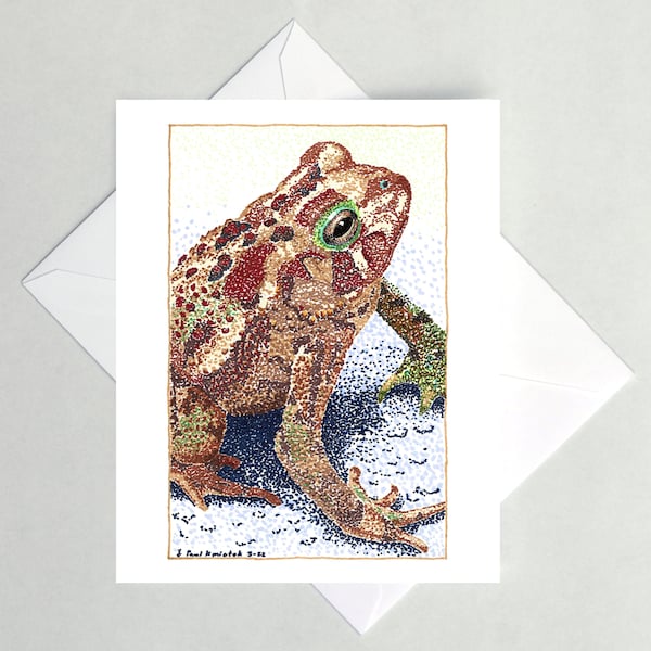 American Toad Note Cards, Frog
