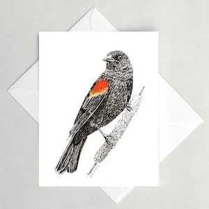Red-winged Blackbird Note Cards