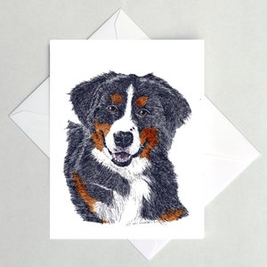 Berner Sennenhund Grußkarten