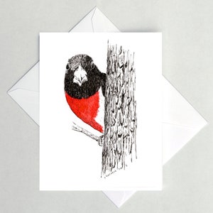 Cartões de nota Grosbeak de peito rosa