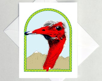 Ostrich Note Cards