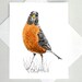 see more listings in the Bird Note Cards section