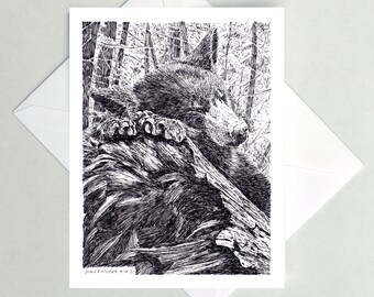 Nap Time Note Cards, Bear Cub