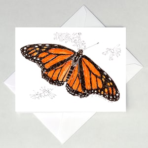 Tarjetas con notas de la mariposa monarca