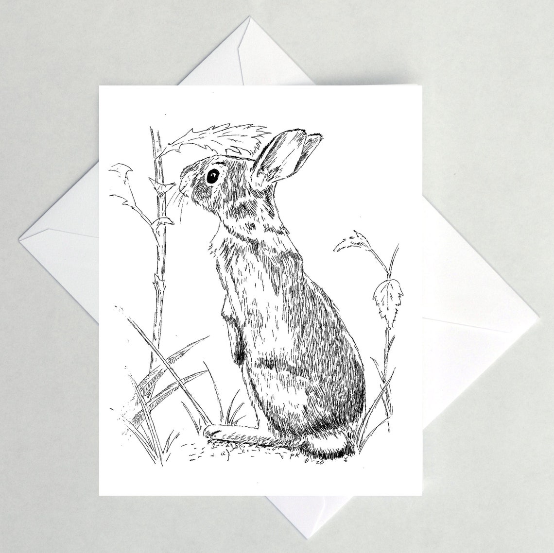 Cottontail Rabbit Card Cottontail Note Card, Rabbit, Bunny - Etsy
