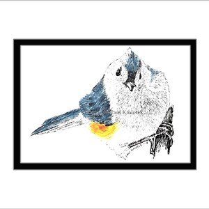 Titmouse Pen and Ink Print