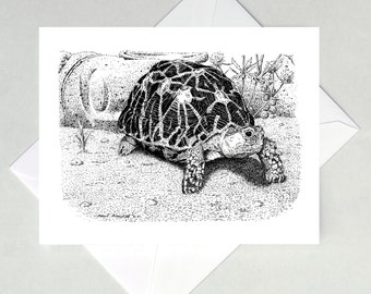 Indian Star Tortoise Note Cards