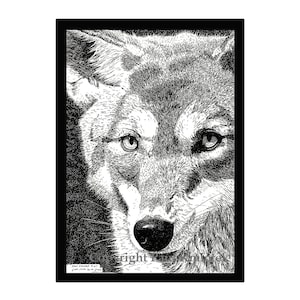Coyote Pen and Ink Print