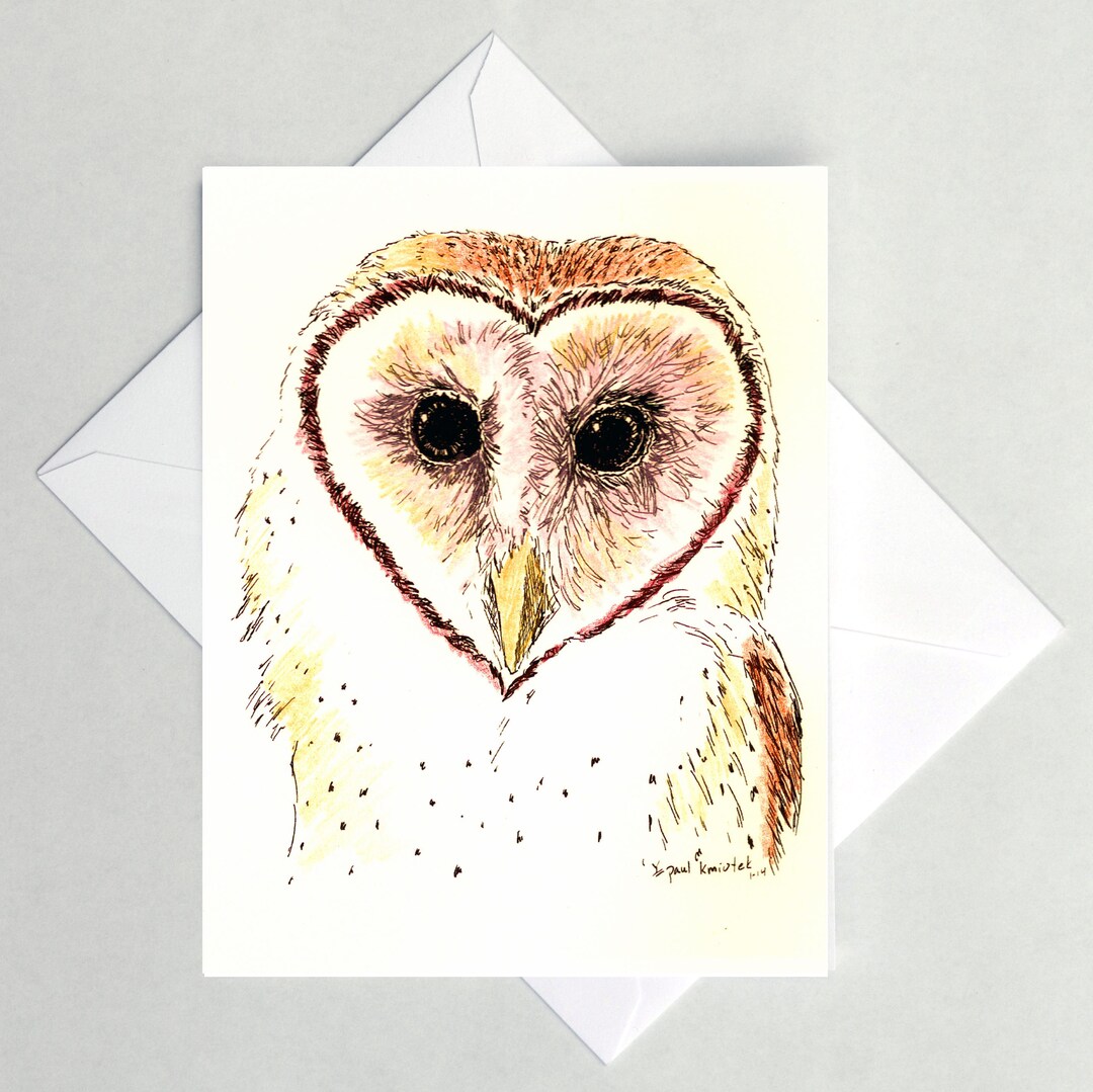 Barn Owl Note Cards - Etsy