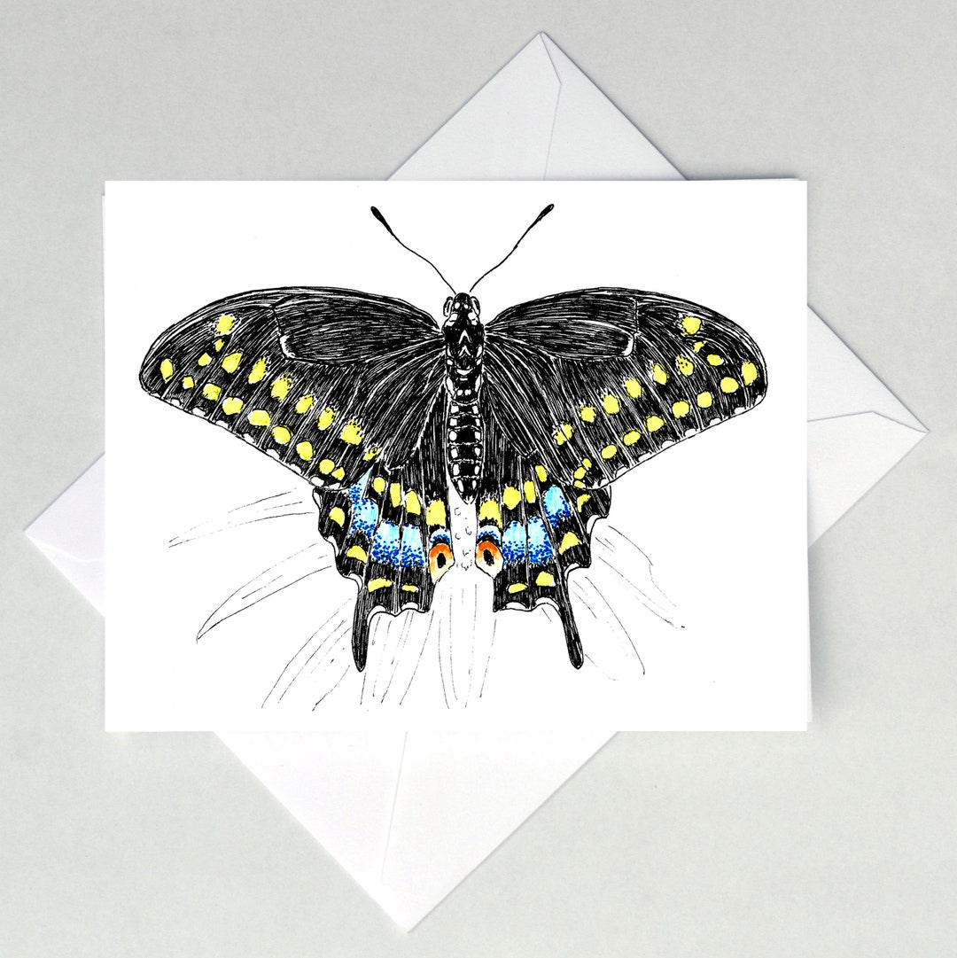 Black Swallowtail Butterfly Note Cards - Etsy