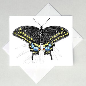 Cartes de correspondance noires papillon machaon