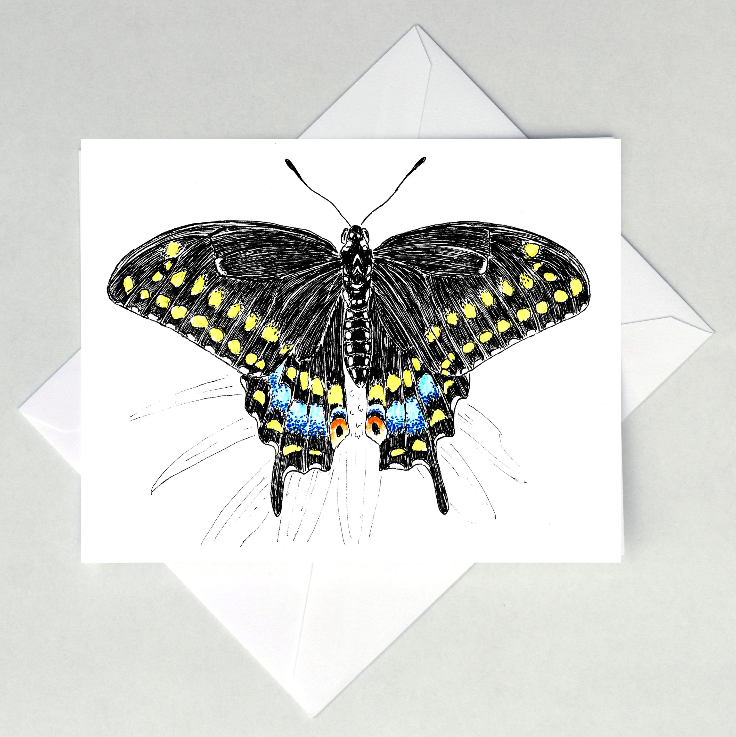 Black Swallowtail Butterfly Note Cards - Etsy