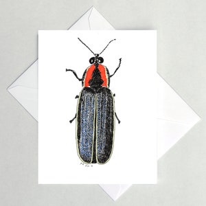 Firefly Note Cards, Lightning Bug