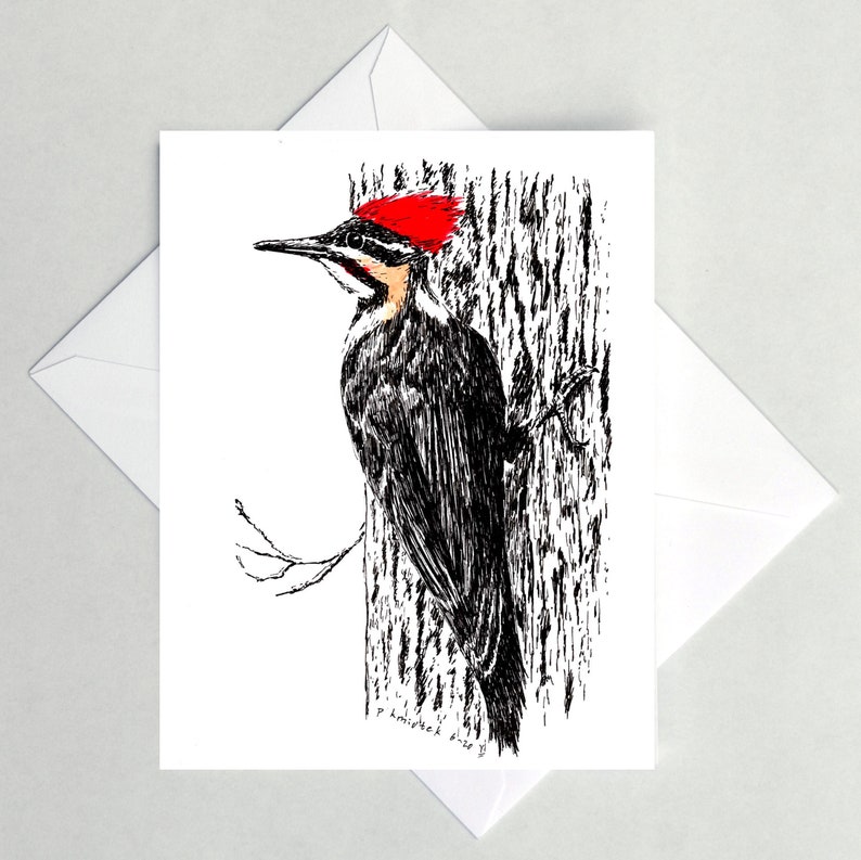 Pileated Woodpecker Note Cards image 1