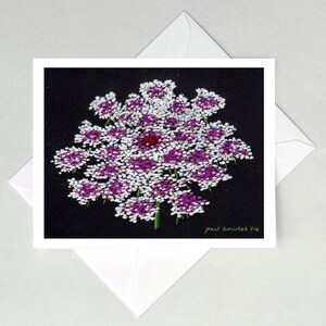 Op de afbeelding: Wenskaart met een schilderij van een wilde peenbloem. De bloem heeft witte en paarse bloempjes en een rood hart, tegen een zwarte achtergrond. De kaart zit in een witte envelop. De handtekening van de kunstenaar is zichtbaar.