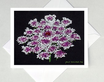 Queen Anne's Lace Note Cards