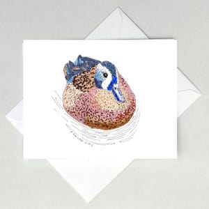 May include: A watercolour illustration of a duck with blue, brown, and pink feathers, floating on water. The duck is on a white card, with a white envelope behind it. The artist's signature and date are visible.